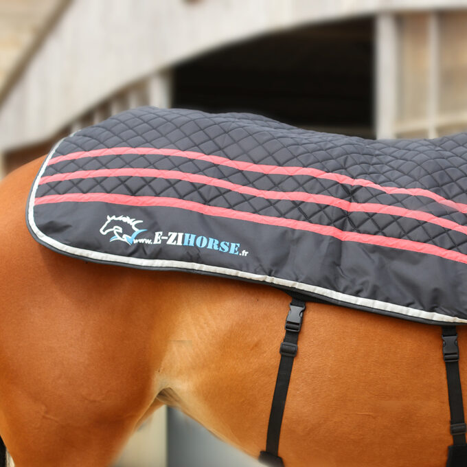 EZIHORSE® BACK PRO - Couverture de massage vibrante et chauffante