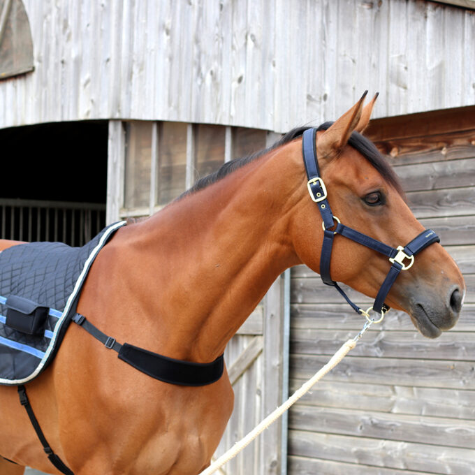 EZIHORSE® BACK CLASSIC - Tapis de massage vibrant pour chevaux