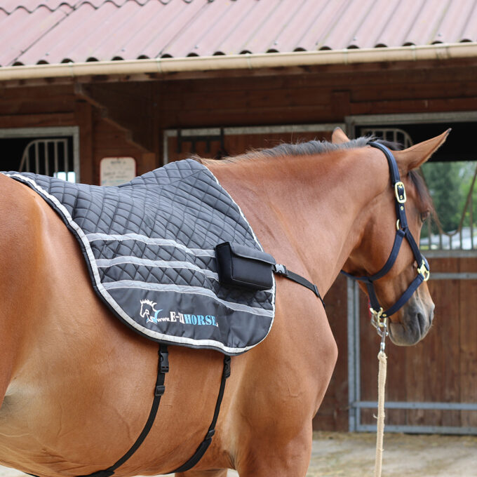 EZIHORSE® BACK COMFORT - Tapis de massage vibrant et chauffant pour chevaux