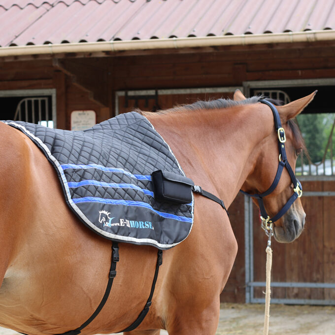 EZIHORSE® BACK CLASSIC - Tapis de massage vibrant pour chevaux
