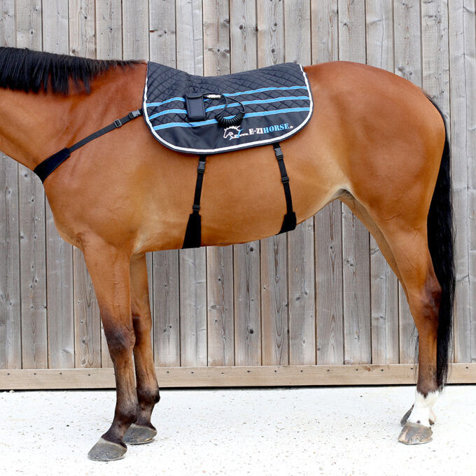 EZIHORSE® BACK CLASSIC - Tapis de massage vibrant pour chevaux