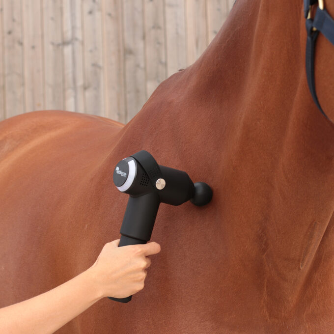 EZIHORSE® TONIC - Pistolet massant
