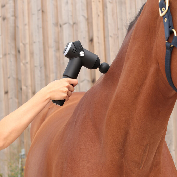 EZIHORSE® TONIC - Pistolet massant