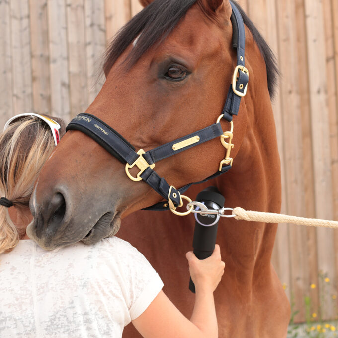 EZIHORSE® TONIC - Pistolet massant