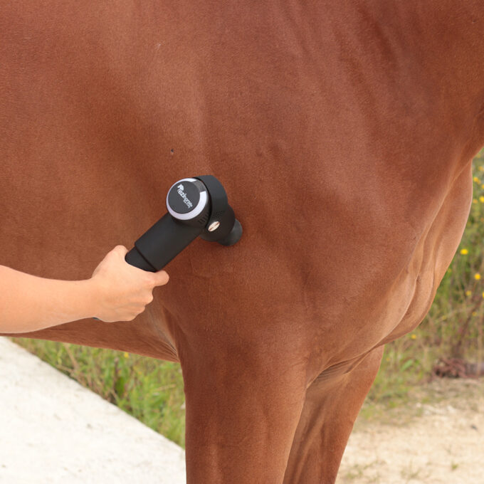 EZIHORSE® TONIC - Pistolet massant