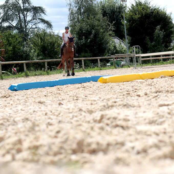 EZIHORSE® SOFT JUMP GRN - Barre de sol