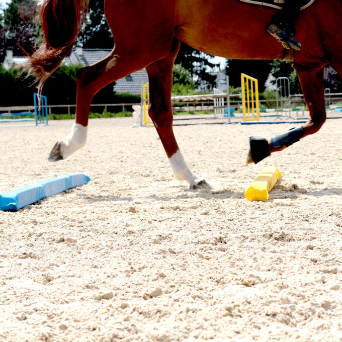 EZIHORSE® SOFT JUMP GRN - Barre de sol