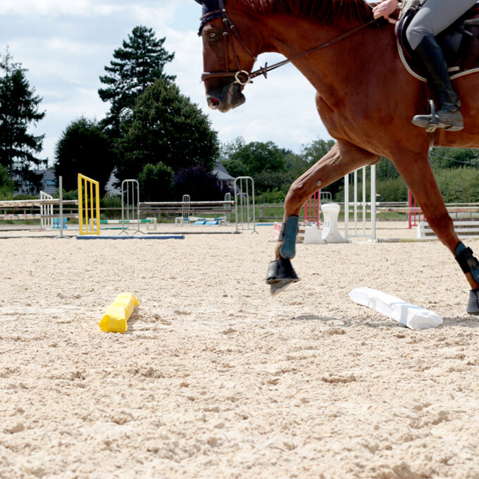 EZIHORSE® SOFT JUMP GRN - Barre de sol