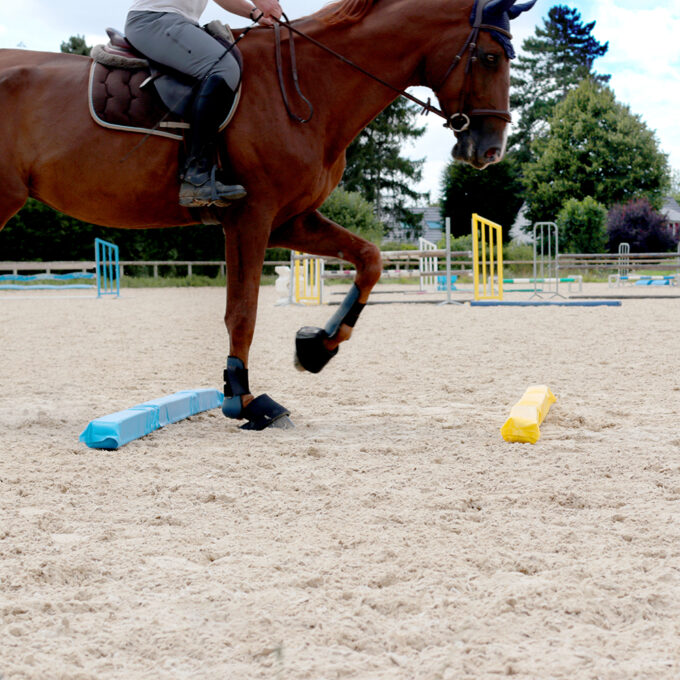 EZIHORSE® SOFT JUMP GRN - Barre de sol