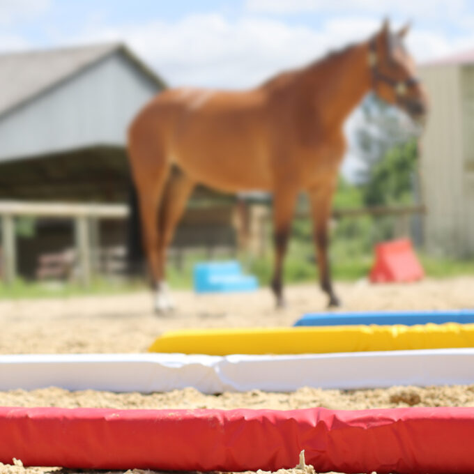 EZIHORSE® SOFT JUMP GRN - Barre de sol